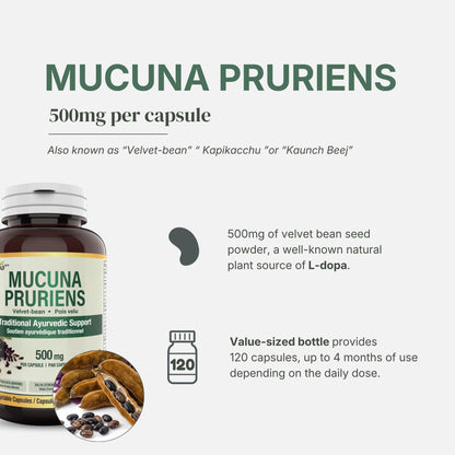 Mucuna Pruriens 500mg - 120 Capsules | Fabriqué au Canada