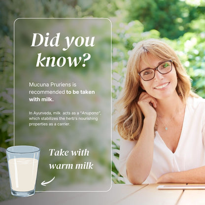 Mucuna Pruriens 500mg - 120 Capsules | Fabriqué au Canada