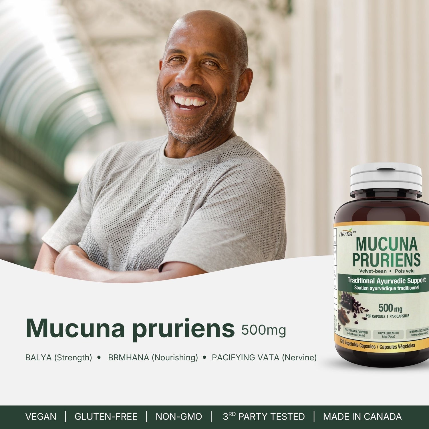 Mucuna Pruriens 500mg - 120 Capsules | Fabriqué au Canada