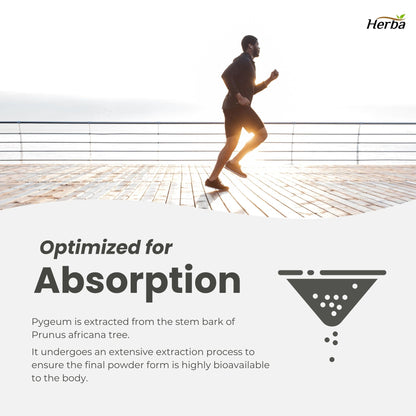 Pygeum Supplement 200mg – 100 Capsules | Made in Canada