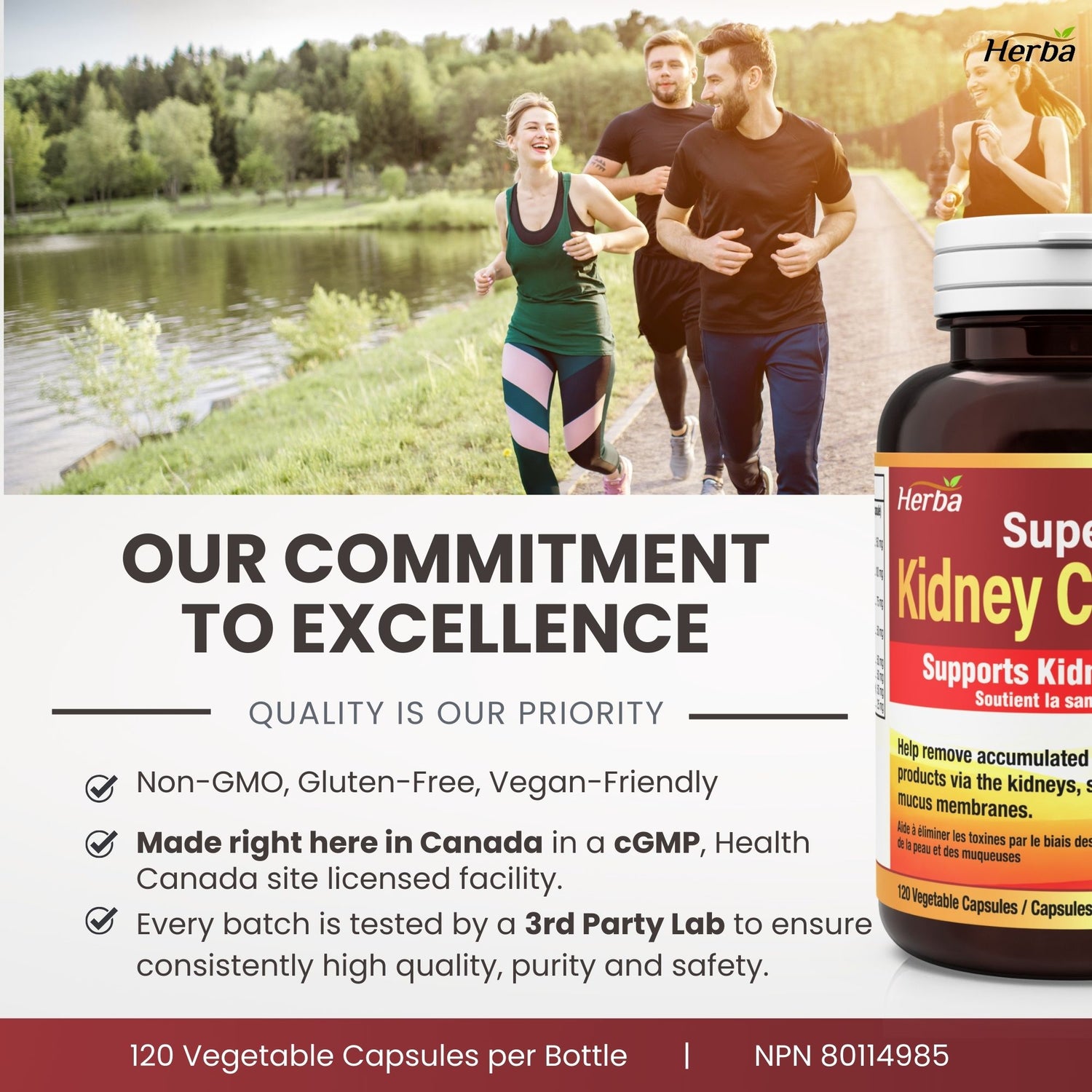 Kidney Cleanse Supplement – 120 Capsules | 8 Natural Ingredients to Detox and Support Kidney and Bladder Health