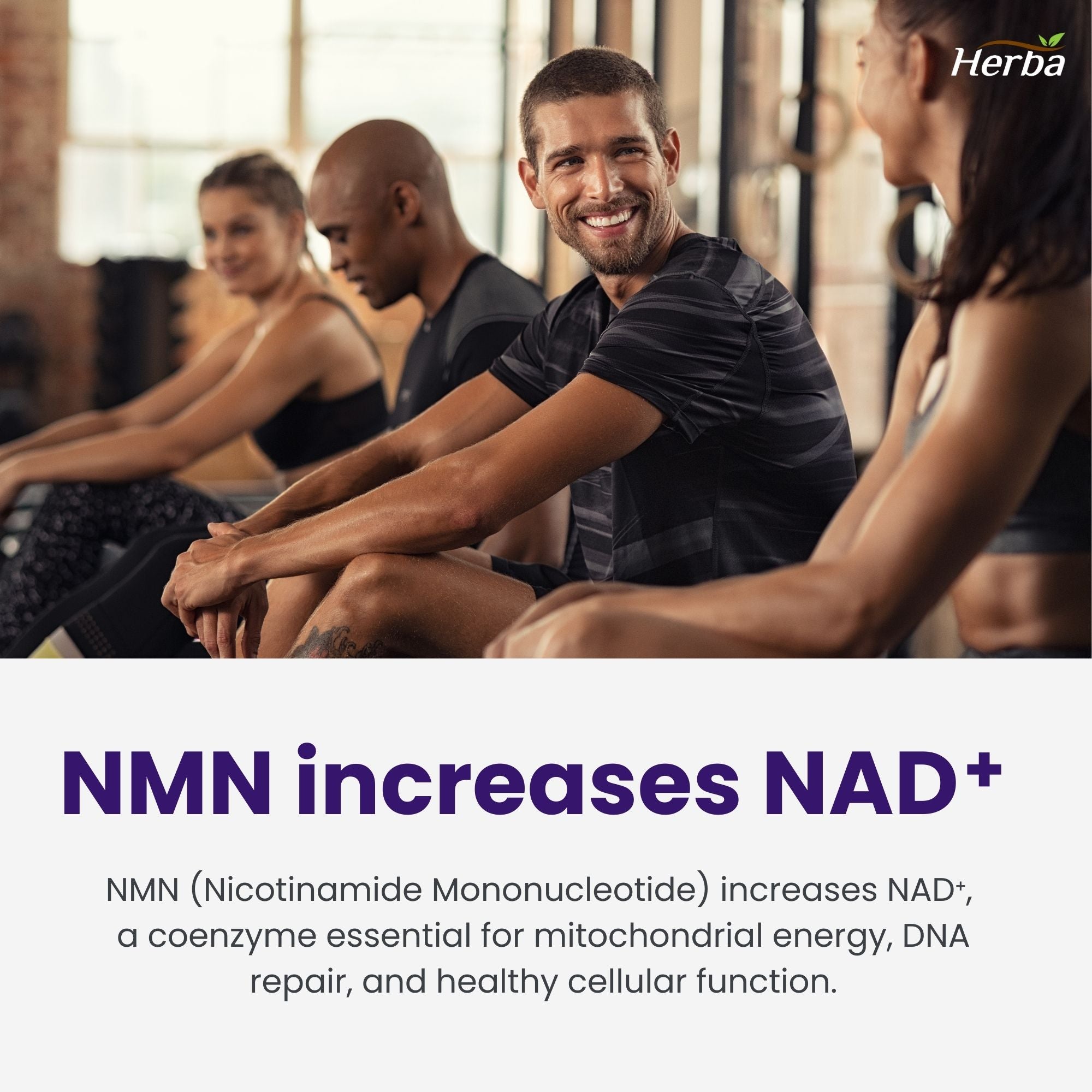 NMN Supplement + Resveratrol - 600mg | Made in Canada | 30 Vegetable Capsules