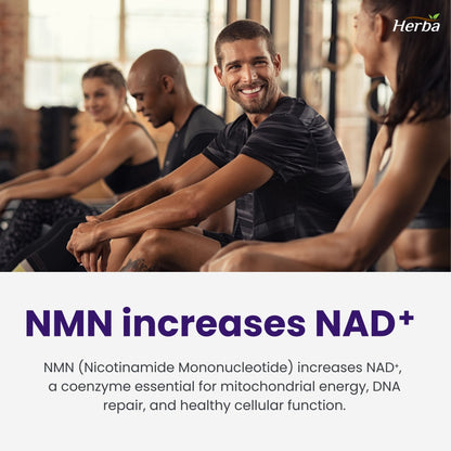 NMN Supplement + Resveratrol - 600mg | Made in Canada | 30 Vegetable Capsules