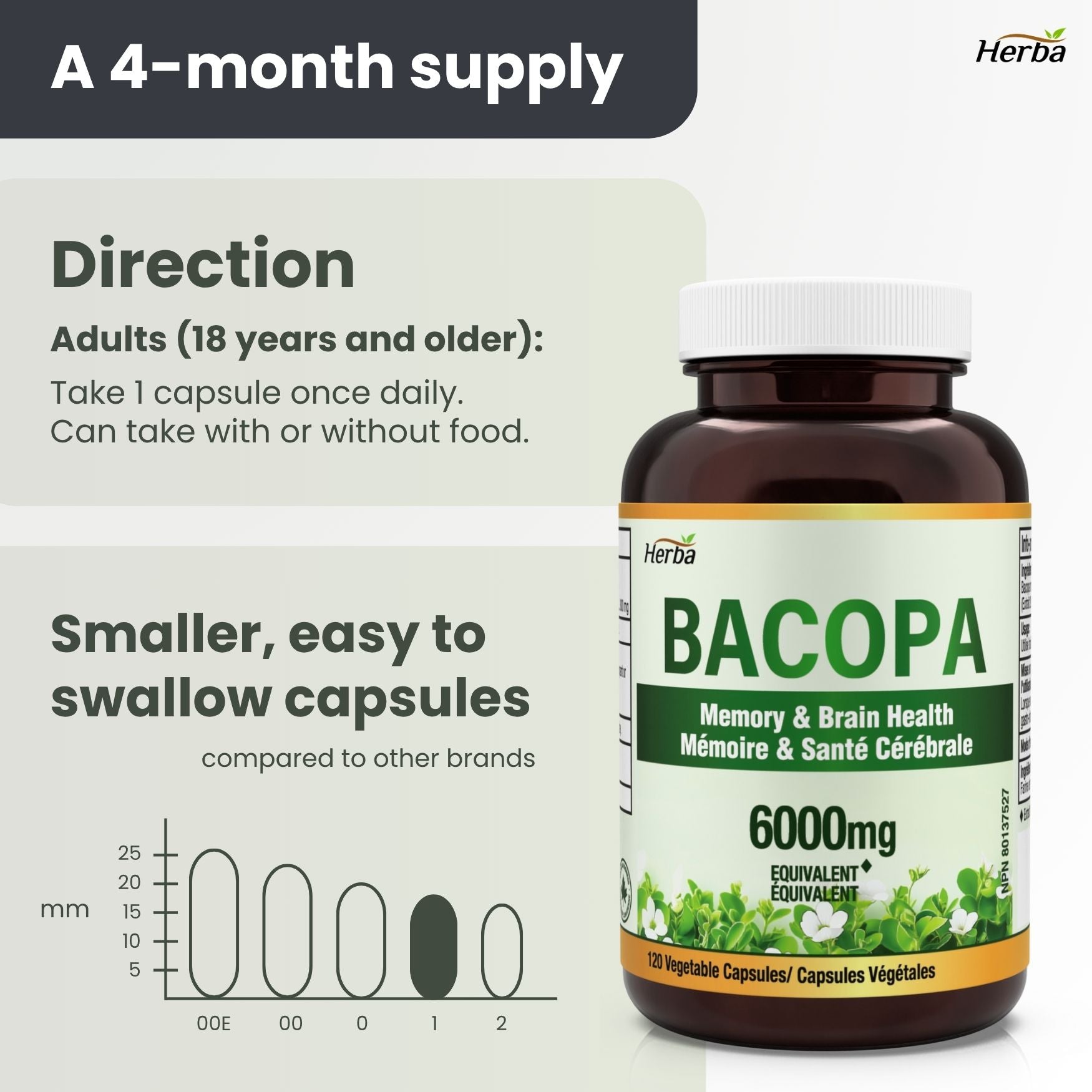 Bacopa Monnieri Supplement – 120 Capsules | 300mg, 20:1 Extract - 6,000mg Equivalent | Made in Canada