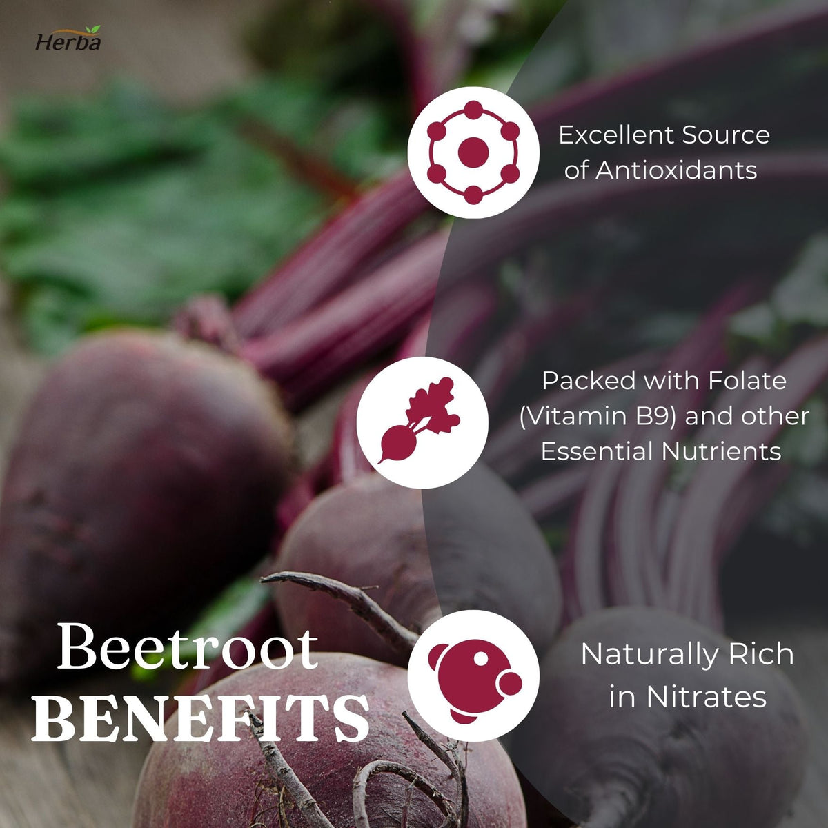 Beet But Buy Herba Organic Beetroot Supplement | 10,000mg, 180 Capsules, Made in ...