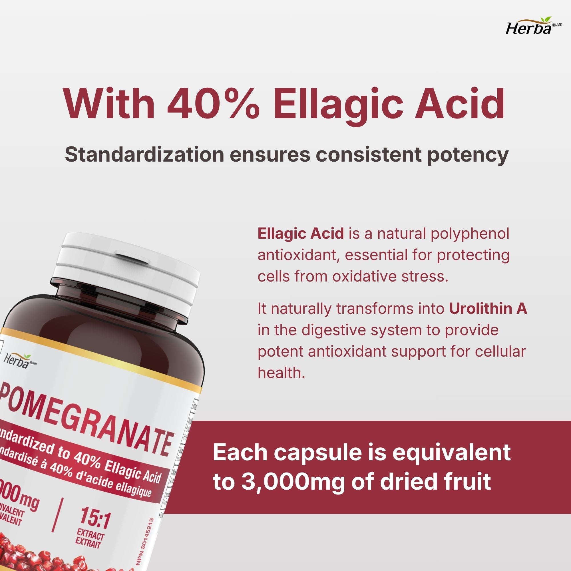Pomegranate Supplement 3000mg – 180 Capsules | 40% Ellagic Acid | Made in Canada