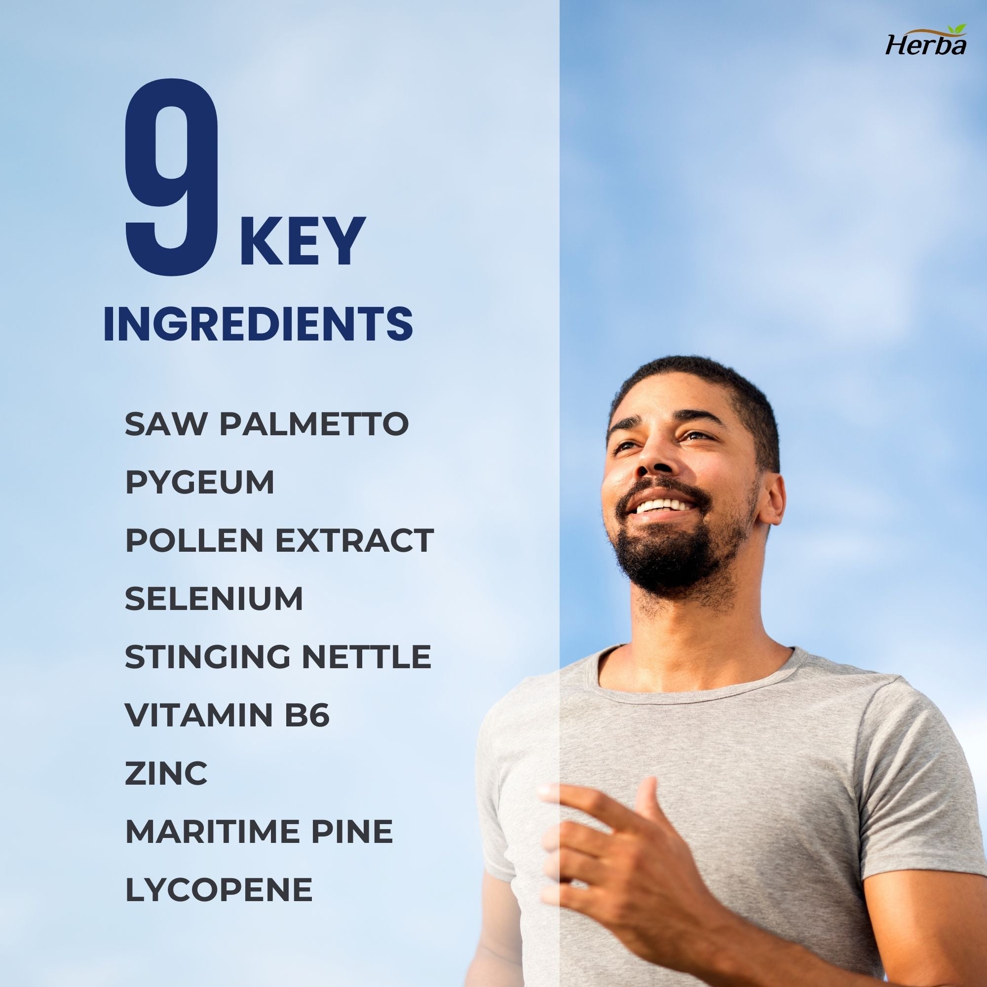 Prostate Max - Prostate Supplement for Men – 120 Capsules | 9 Natural Ingredients