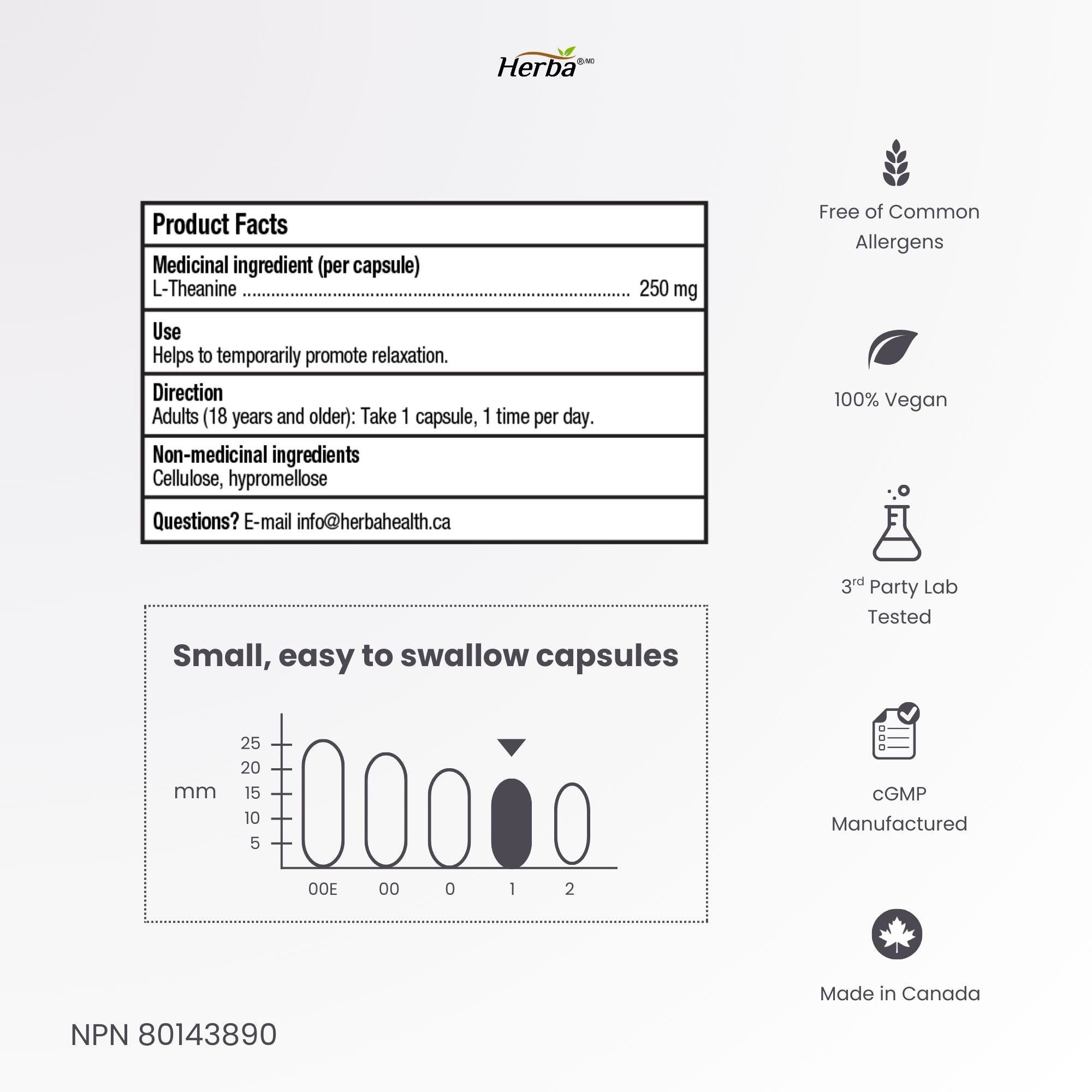 Herba L-Theanine Supplement 250mg – 240 Capsules | Promotes Relaxation Without Drowsiness | Anxiety Relief Support | 8 Month Supply | Made in Canada