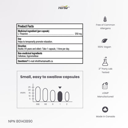 Herba L-Theanine Supplement 250mg – 240 Capsules | Promotes Relaxation Without Drowsiness | Anxiety Relief Support | 8 Month Supply | Made in Canada