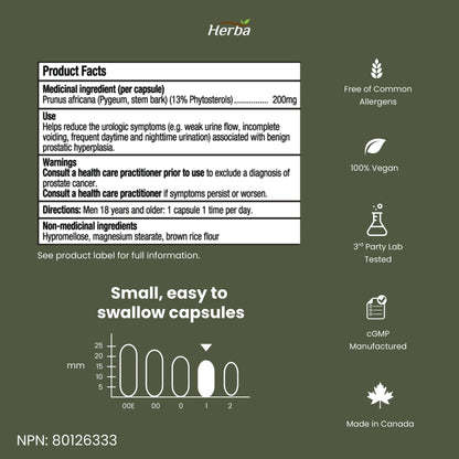 Pygeum Supplement 200mg – 100 Capsules | Made in Canada