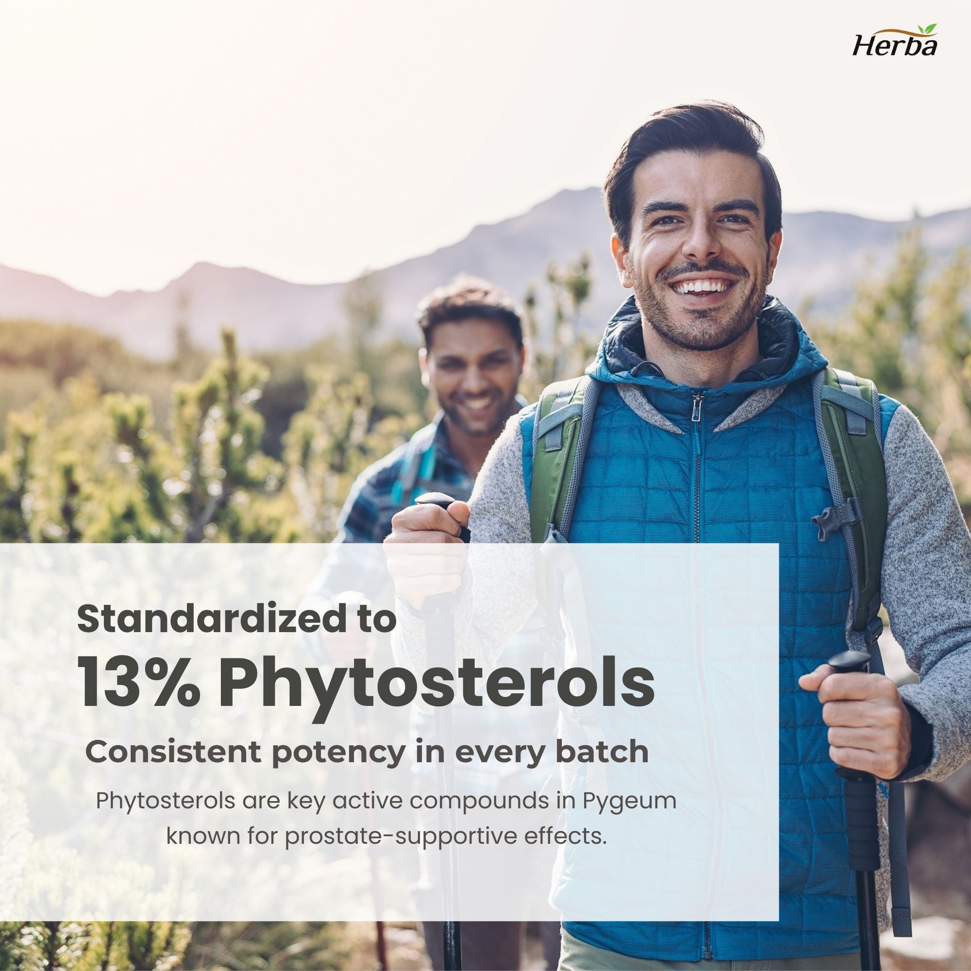 Pygeum Supplement 200mg – 100 Capsules | Made in Canada