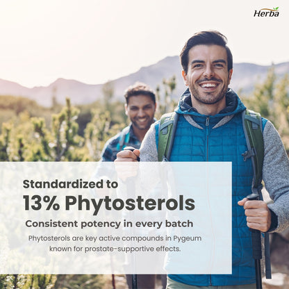 Pygeum Supplement 200mg – 100 Capsules | Made in Canada