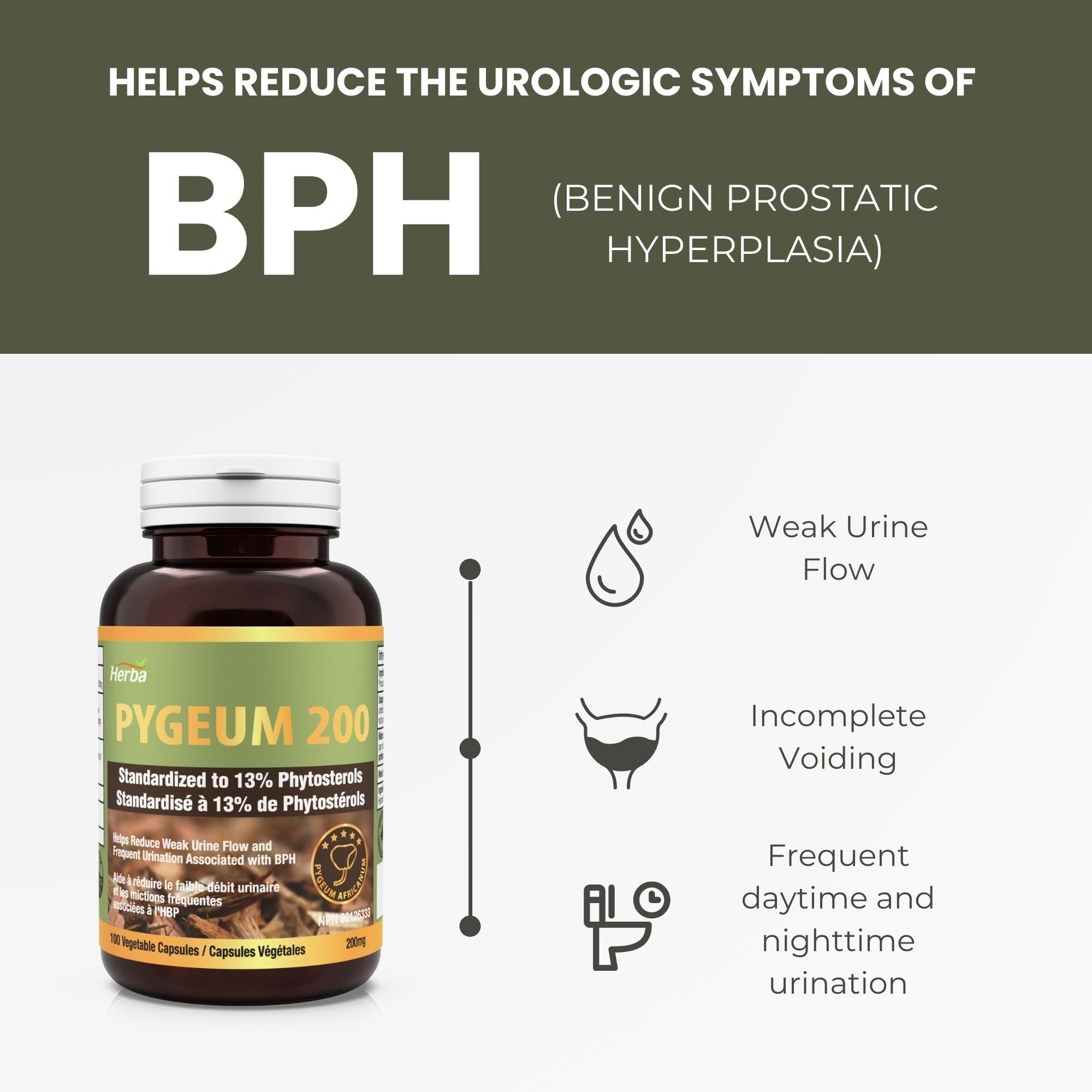 Pygeum Supplement 200mg – 100 Capsules | Made in Canada