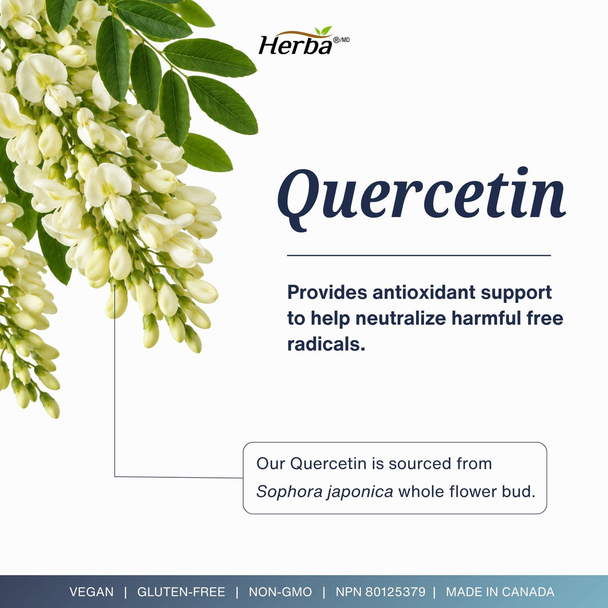 Quercetin with Bromelain, Zinc &amp; Copper - 180 Capsules