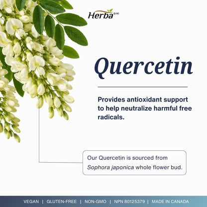 Quercetin with Bromelain, Zinc &amp; Copper - 180 Capsules