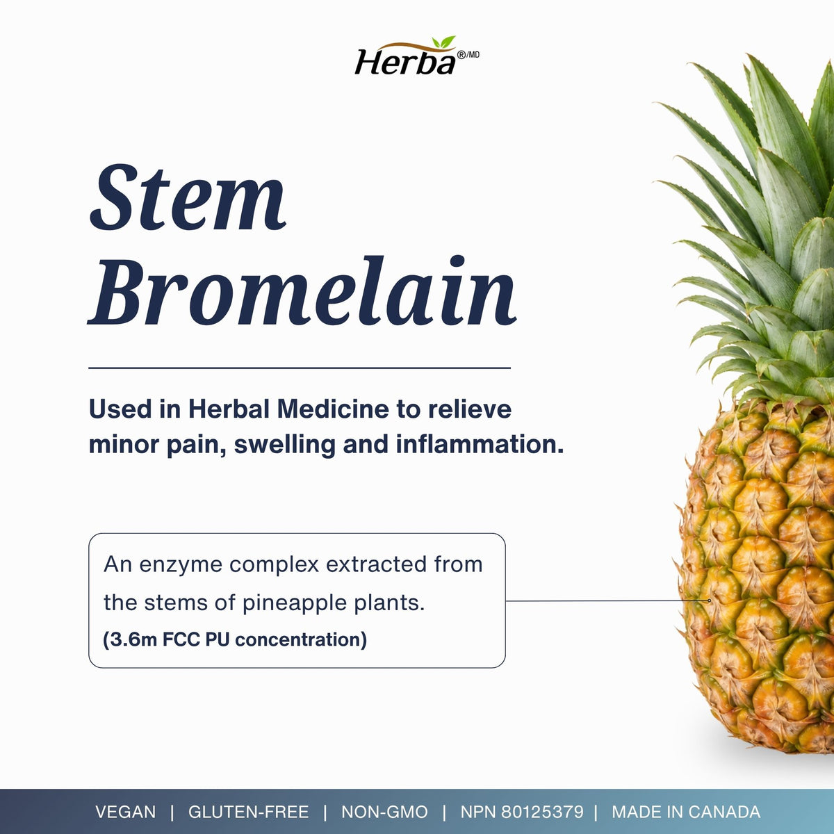 Quercetin with Bromelain, Zinc &amp; Copper - 180 Capsules