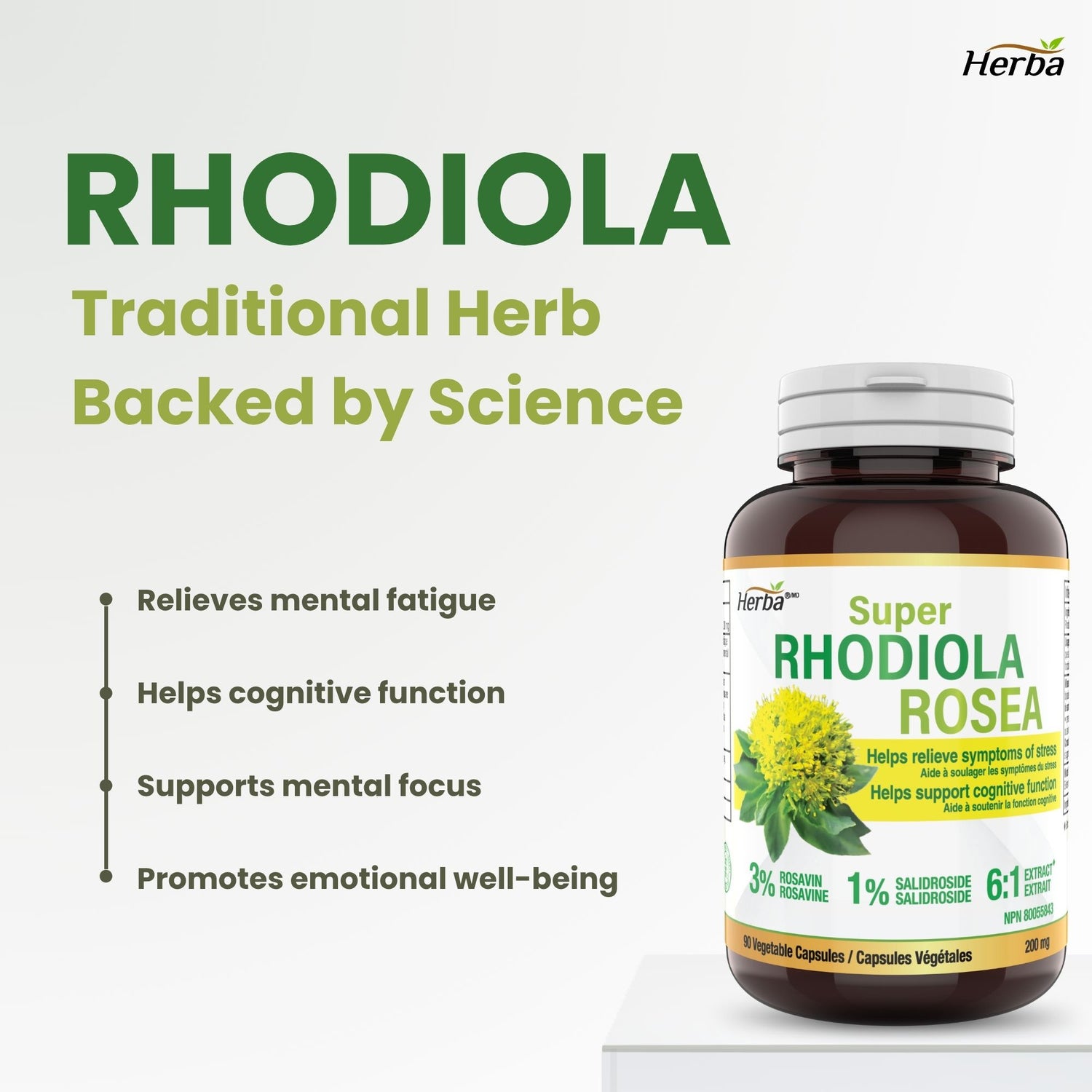 Rhodiola Rosea Supplement 200mg - 90 Vegetable Capsules | Made in Canada – 3% Rosavins and 1% Salidrosides
