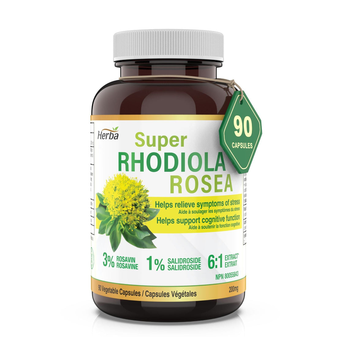 rhodiola rosea supplement