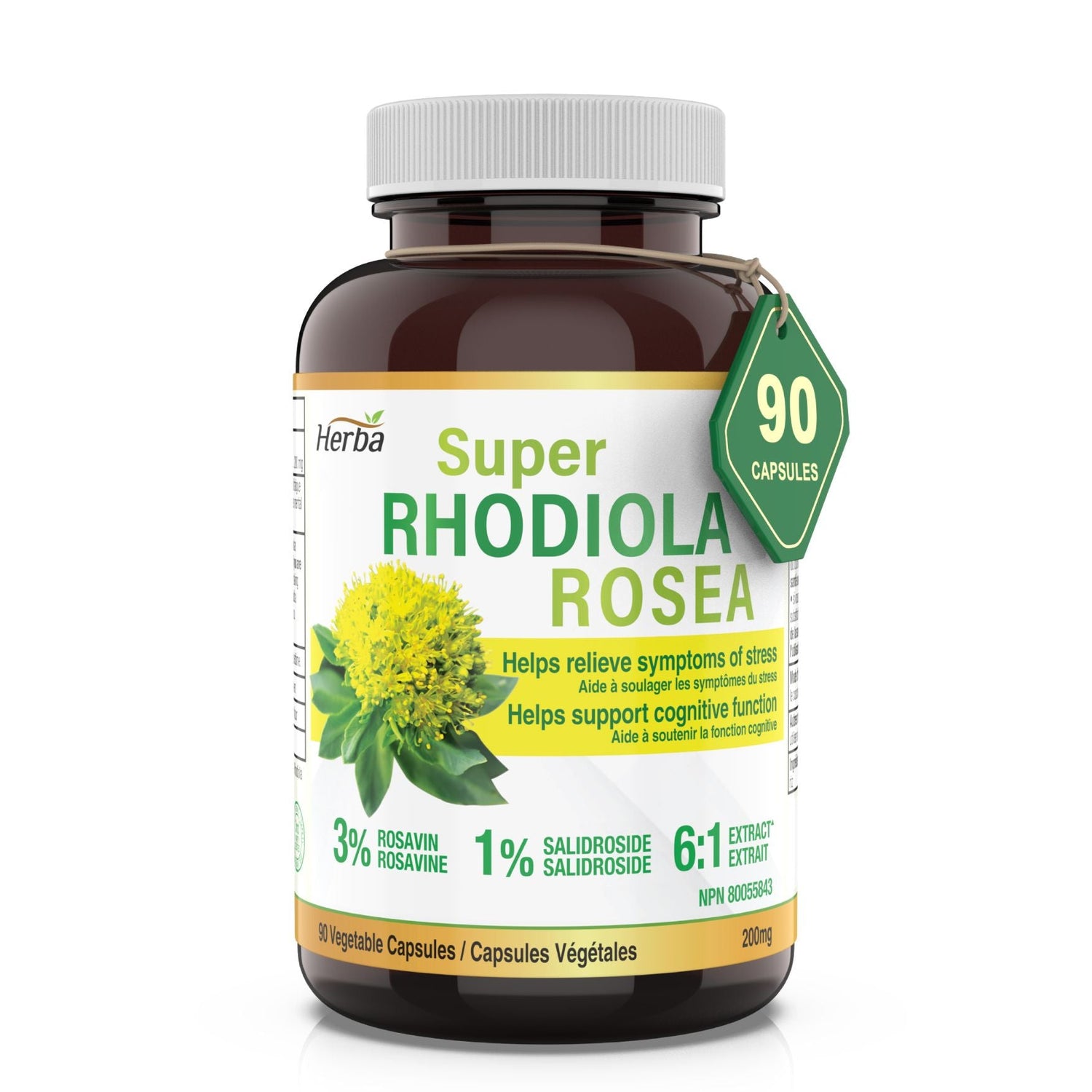 rhodiola rosea supplement