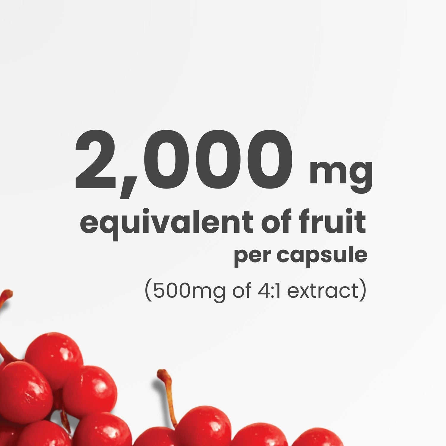 Schisandra Supplement – 90 Capsules | 4:1 Extract – 2,000mg Equivalent Schisandra Berry | Made in Canada