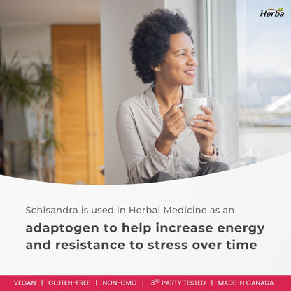 Schisandra Supplement – 90 Capsules | 4:1 Extract – 2,000mg Equivalent Schisandra Berry | Made in Canada