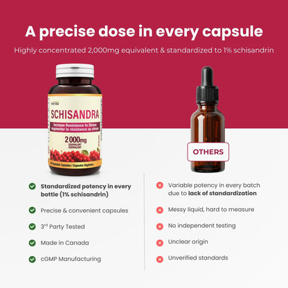 Schisandra Supplement – 90 Capsules | 4:1 Extract – 2,000mg Equivalent Schisandra Berry | Made in Canada