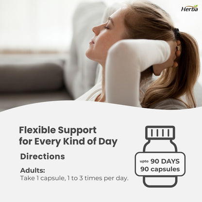 Schisandra Supplement – 90 Capsules | 4:1 Extract – 2,000mg Equivalent Schisandra Berry | Made in Canada