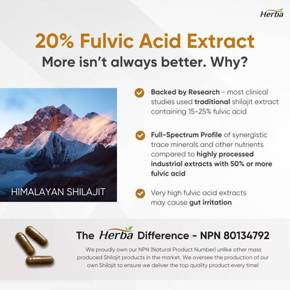 Himalayan Shilajit for Women &amp; Men – 120 Capsules | 1000mg Per Serving (500mg Each) | 15:1 Extract | Fulvic Acid Supplement | Made in Canada