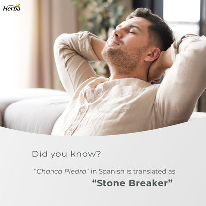 Chanca Piedra Extract - 180 Capsules | 5,000mg Equivalent | 10:1 Extract from 500mg | Spanish for "Stone Breaker" | Made in Canada