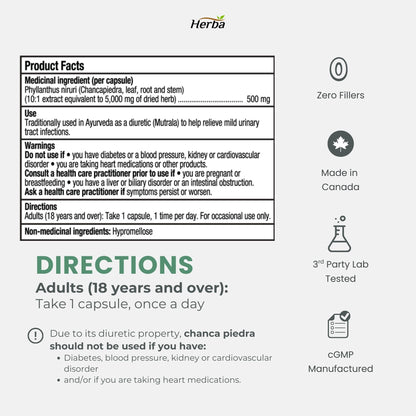 Chanca Piedra Extract - 180 Capsules | 5,000mg Equivalent | 10:1 Extract from 500mg | Spanish for "Stone Breaker" | Made in Canada