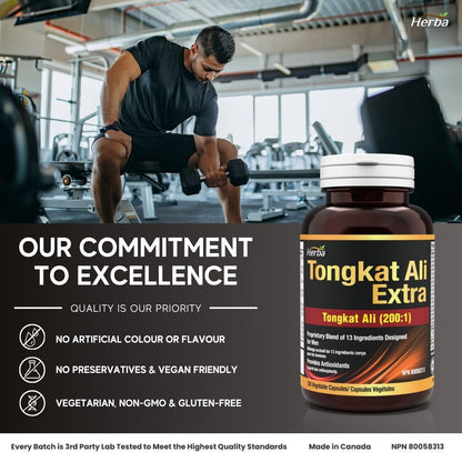 Tongkat Ali Supplement 200:1 - Made in Canada | 120 Capsules | Proprietary Blend including 10,000mg Equivalent of Tongkat Ali Extract