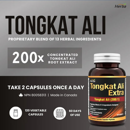Tongkat Ali Supplement 200:1 - Made in Canada | 120 Capsules | Proprietary Blend including 10,000mg Equivalent of Tongkat Ali Extract