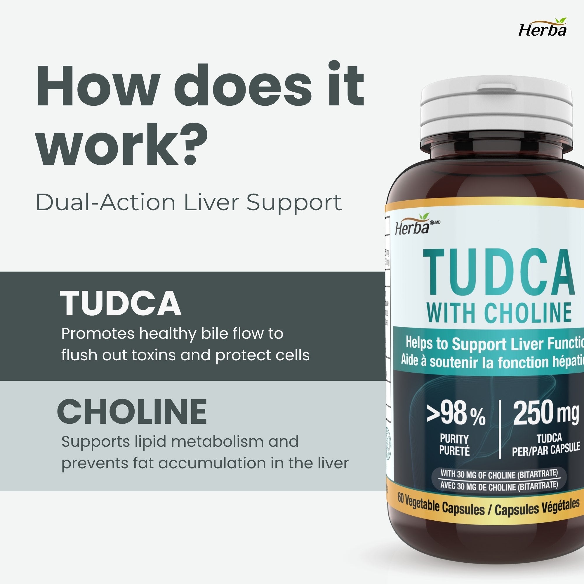 TUDCA Supplement for Liver – 60 Capsules | 250mg TUDCA + Choline | Made in Canada