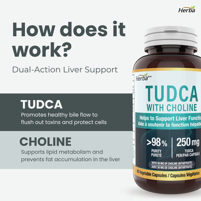 TUDCA Supplement for Liver – 60 Capsules | 250mg TUDCA + Choline | Made in Canada