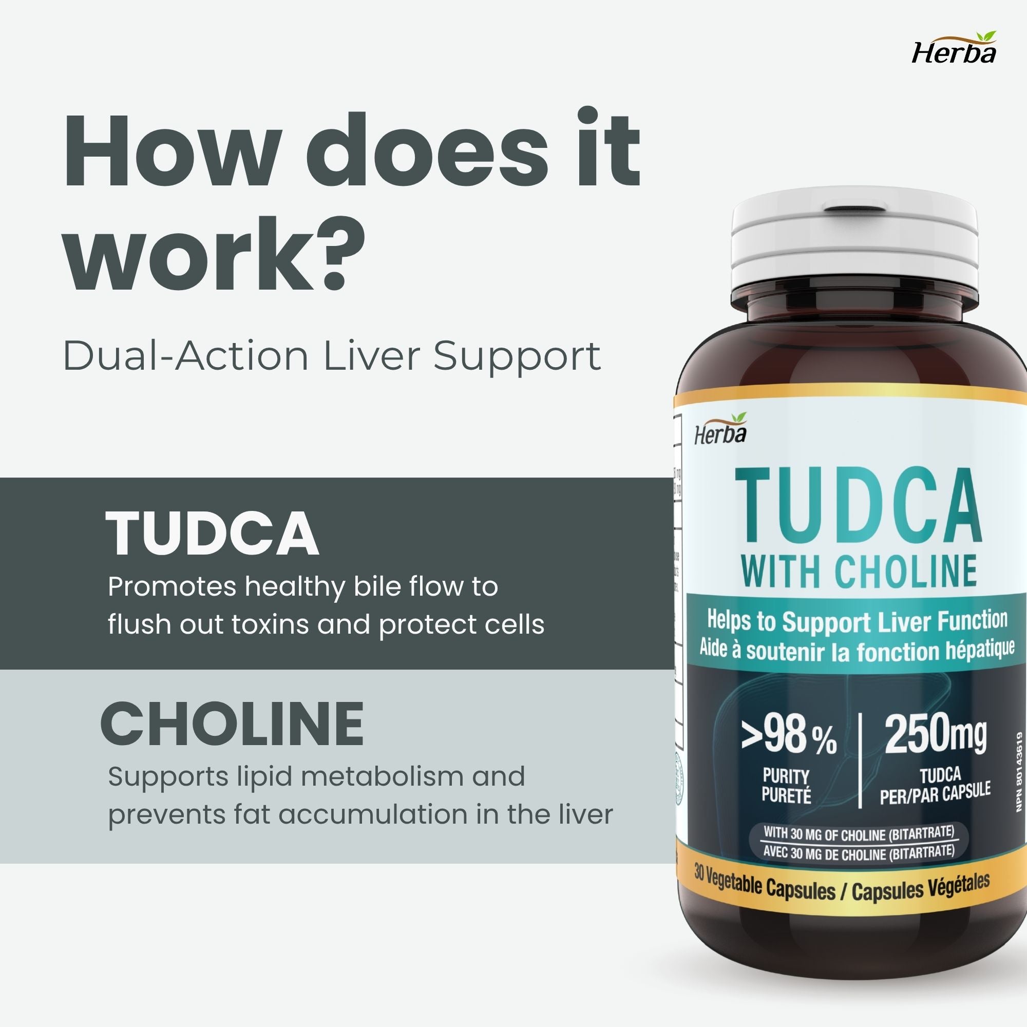 TUDCA Supplement for Liver – 30 Capsules | >98% Purity | Purified Bile Salts Supplements | 250mg TUDCA + Choline | Made in Canada