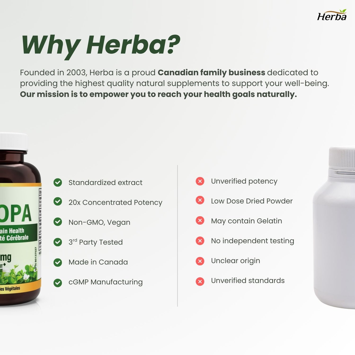 Bacopa Monnieri Supplement – 120 Capsules | 300mg, 20:1 Extract - 6,000mg Equivalent | Made in Canada