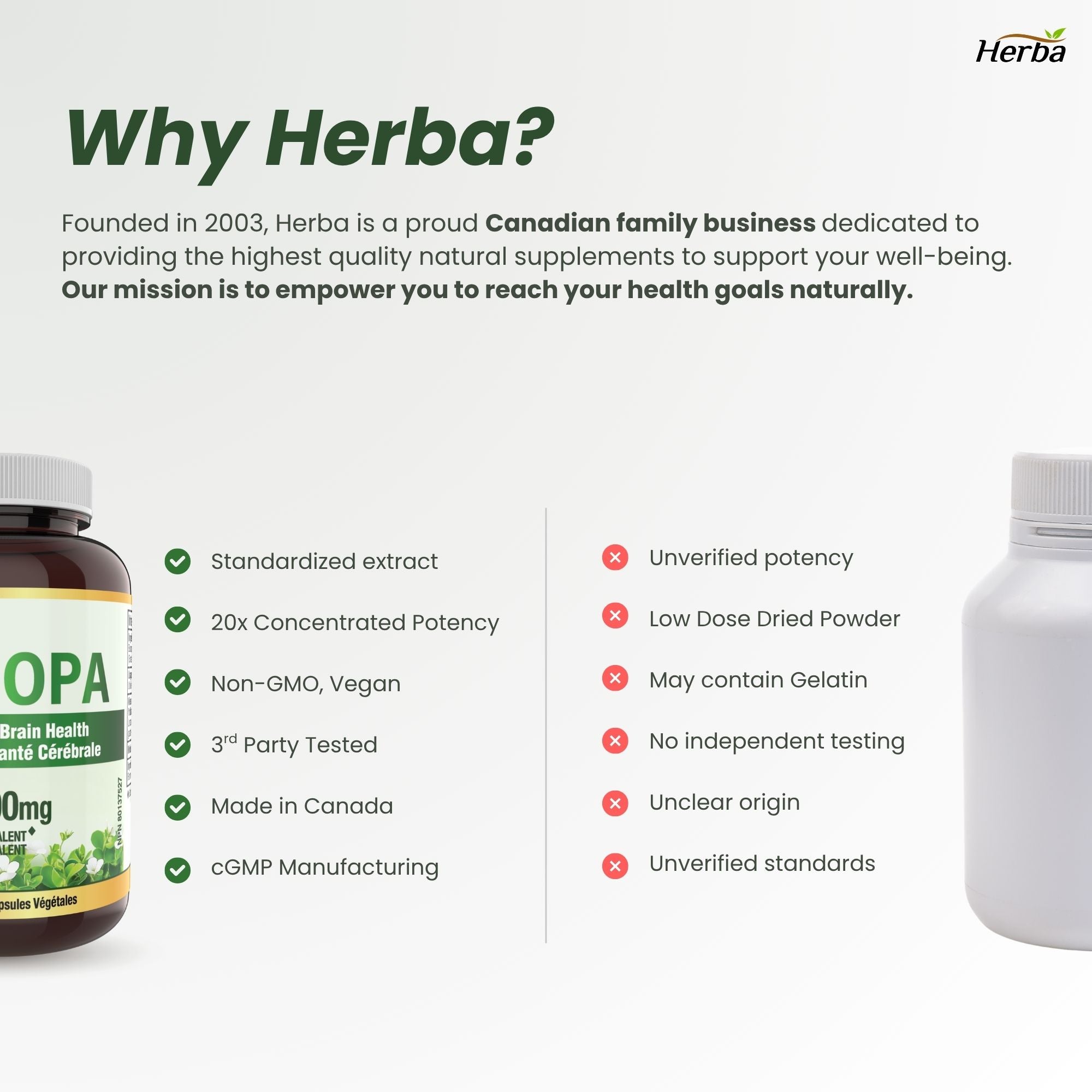 Supplément de Bacopa Monnieri – 120 Capsules | 300mg, extrait 20:1 - équivalent de 6,000mg | Fabriqué au Canada