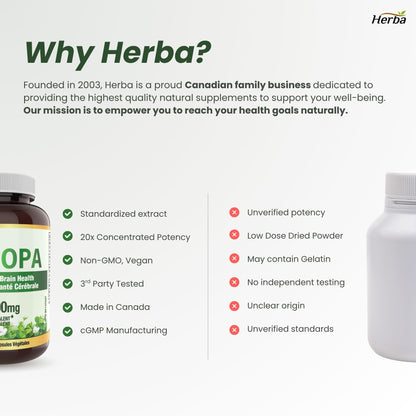 Supplément de Bacopa Monnieri – 120 Capsules | 300mg, extrait 20:1 - équivalent de 6,000mg | Fabriqué au Canada