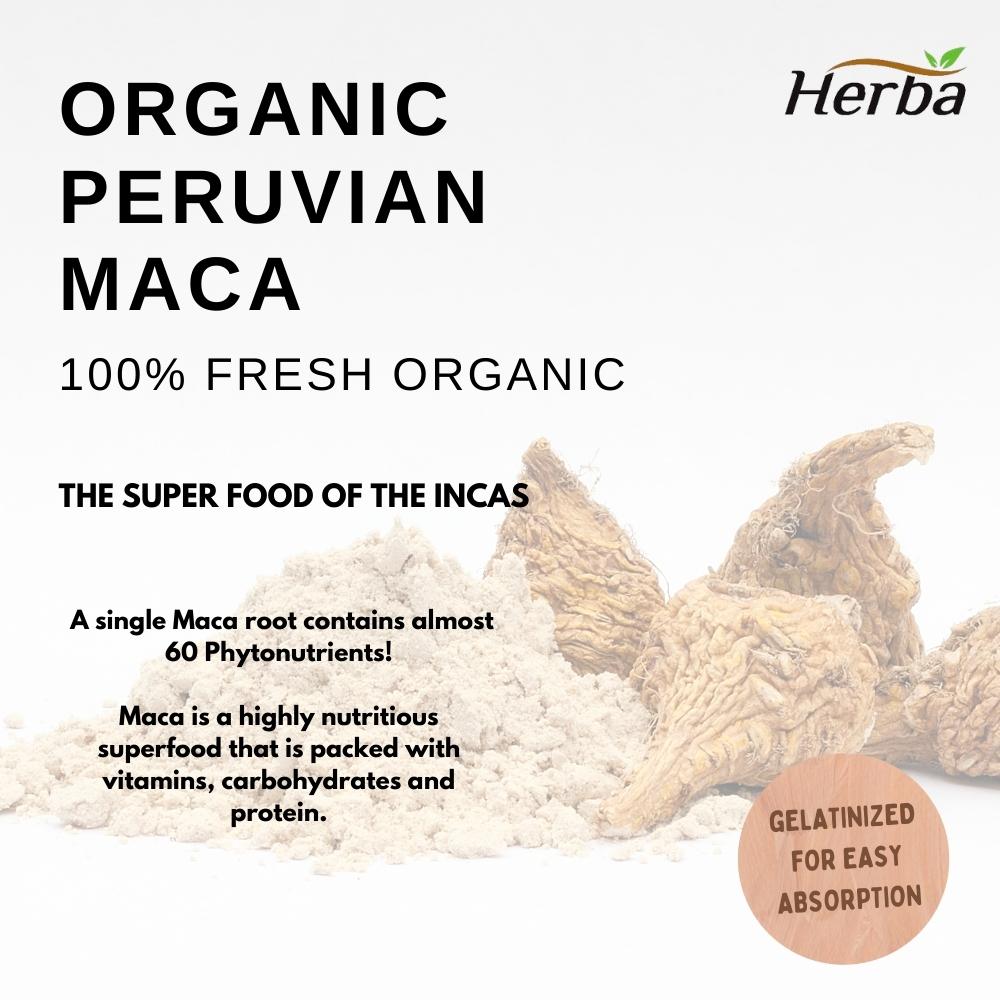Herba Organic Peruvian Maca Capsules - 500mg, 200 Capsules