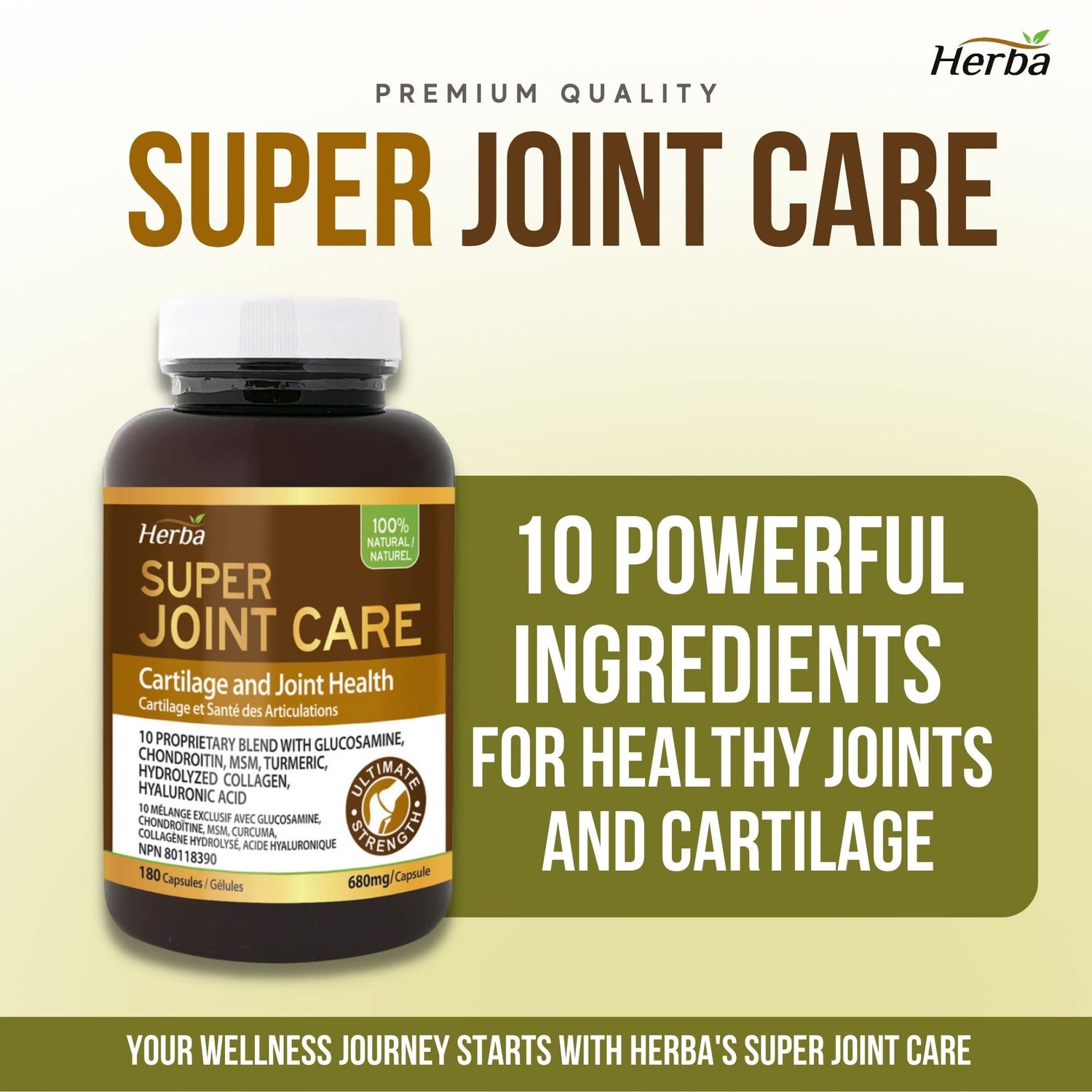 Herba Joint Care Supplement with Glucosamine Chondroitin MSM Capsules – 180 Capsules