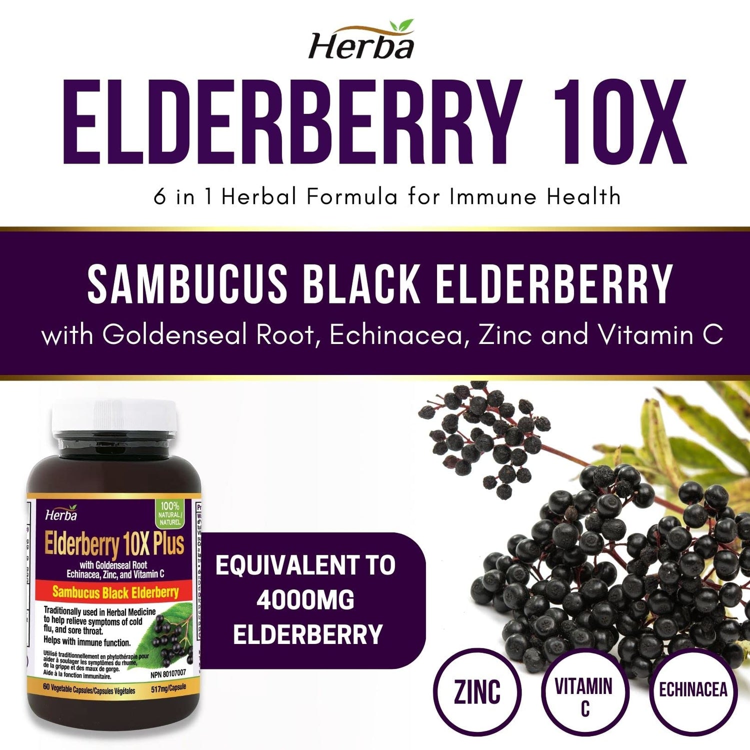 Herba Sambucus Black Elderberry Capsules – 2,000mg Equivalent | 10:1 Extract with Echinacea and Goldenseal Root, Vitamin C, and Zinc