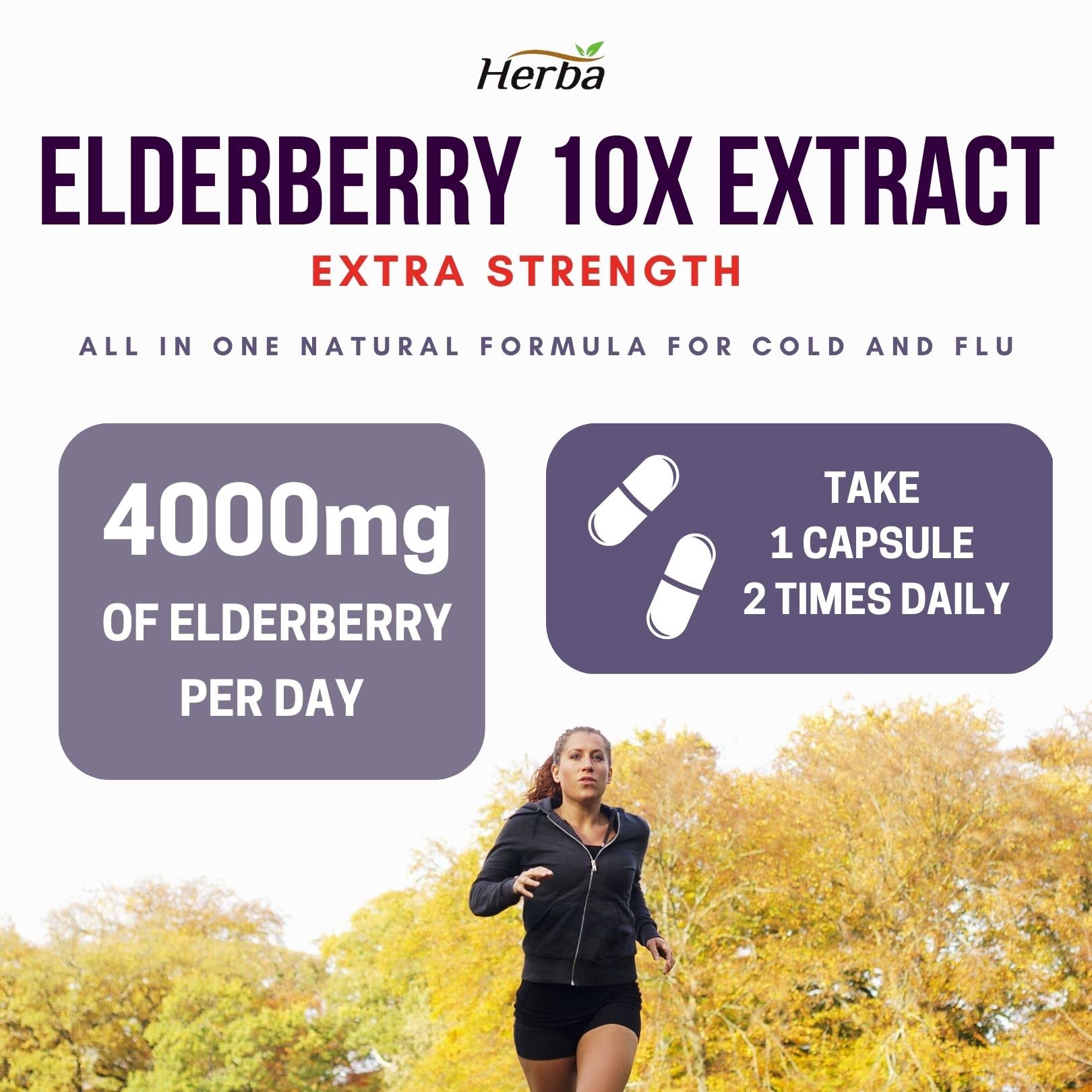 Herba Sambucus Black Elderberry Capsules – 2,000mg Equivalent | 10:1 Extract with Echinacea and Goldenseal Root, Vitamin C, and Zinc