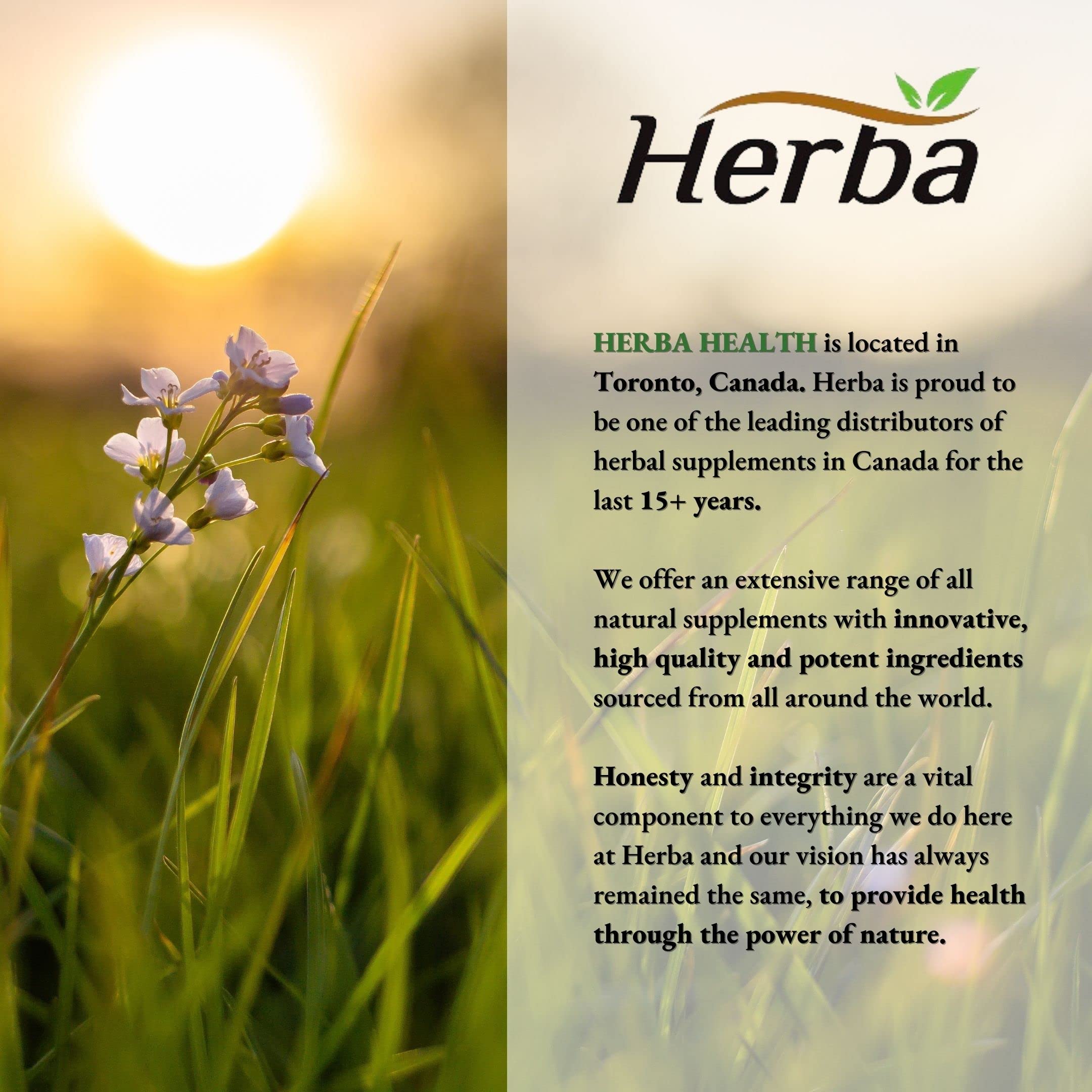 Herba Mushroom Complex Supplements – 120 Capsules