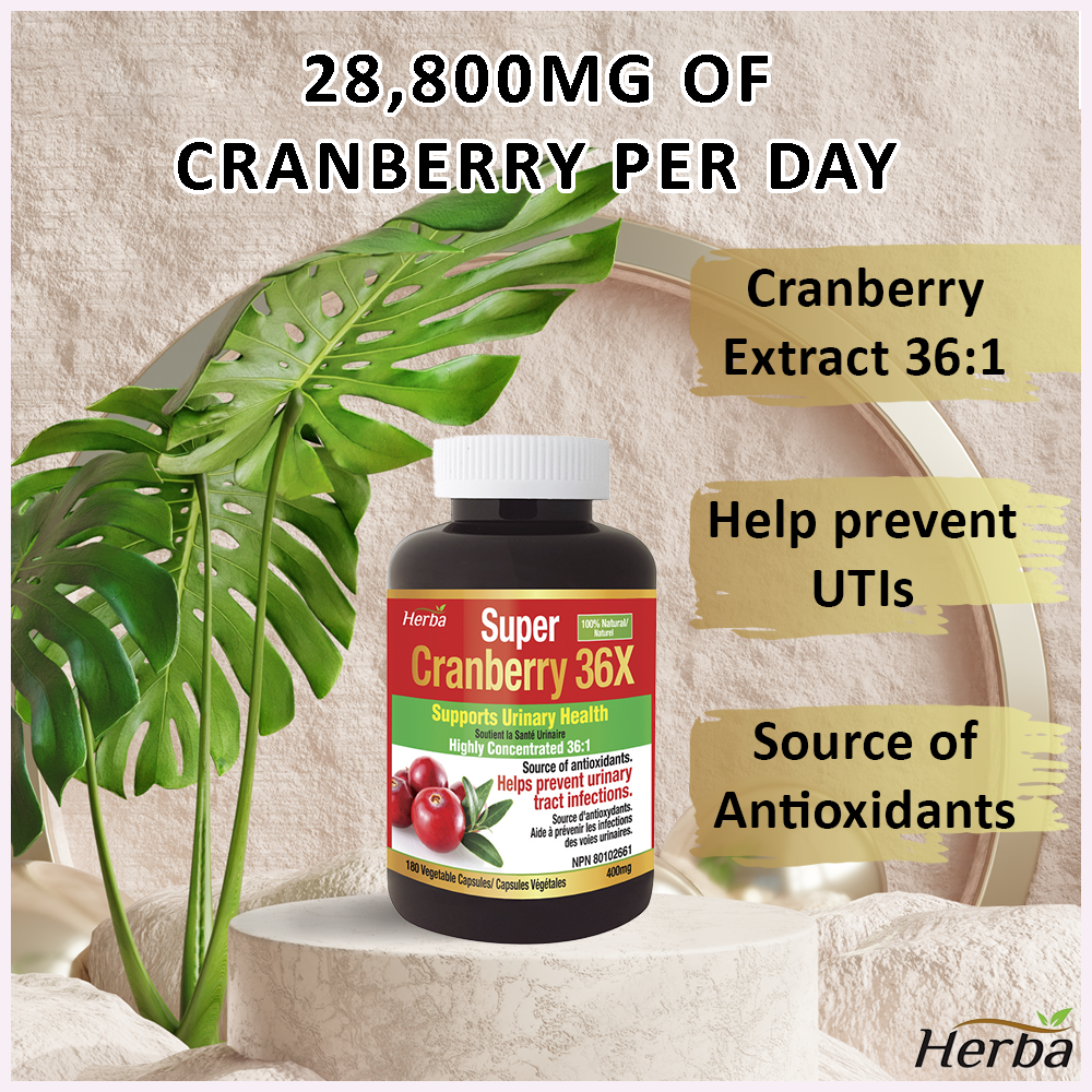 Herba Cranberry Pills for Women and Men – 180 Cranberry Capsules | 28,800mg Per Day | 36:1 Concentration