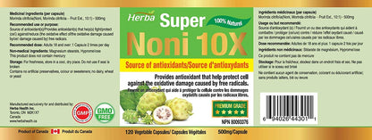 Herba Natural Noni Capsules 10X - 120 Vegan Capsules | 10,000mg Per Day | 10:1 Concentration