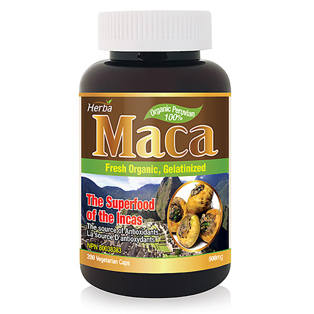 buy maca capsules made in Canada