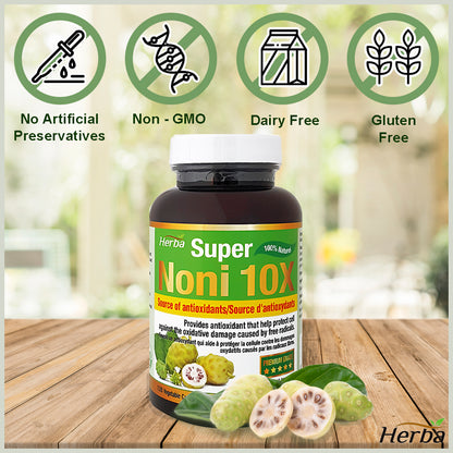 Herba Natural Noni Capsules 10X - 120 Vegan Capsules | 10,000mg Per Day | 10:1 Concentration