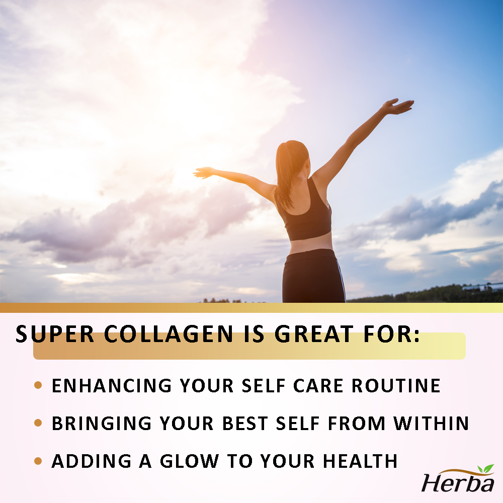 Herba Super Collagen 560mg, 120 Capsules | Type 1 and Type 3 Collagen with Hyaluronic Acid, Elastin, Vitamin C | Fish Peptides for Beauty and Health